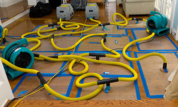 Professional Water Extraction technician working in Green Cove Springs, FL